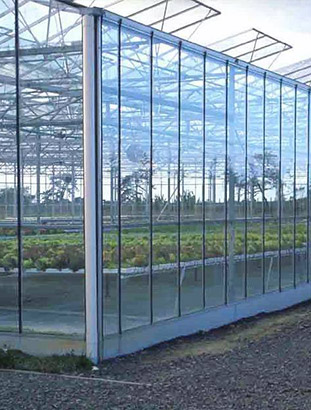 西安智能玻璃温室大棚解决方案