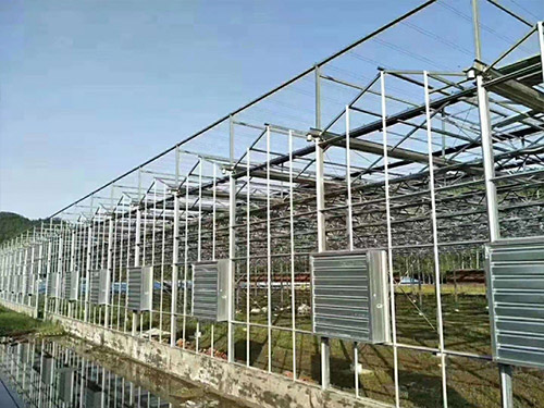 葫芦岛智能玻璃温室