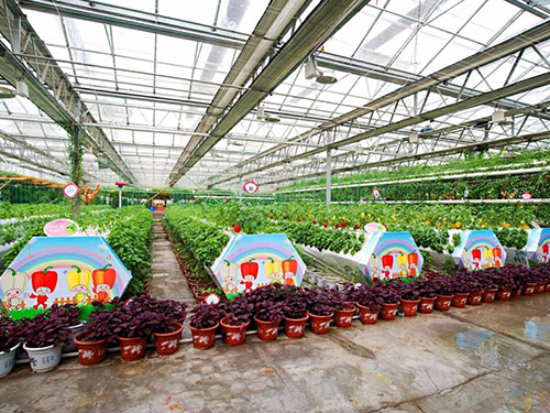 温州玻璃温室农业观光园
