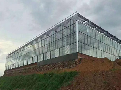乌海玻璃大棚温室